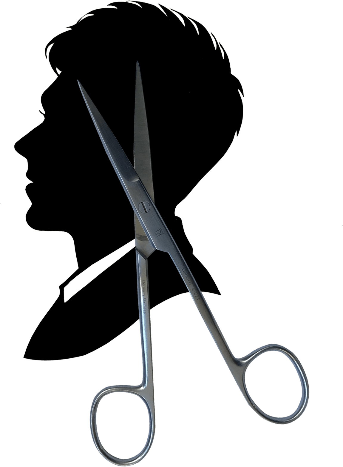 portrait scissors silhouette cutting head